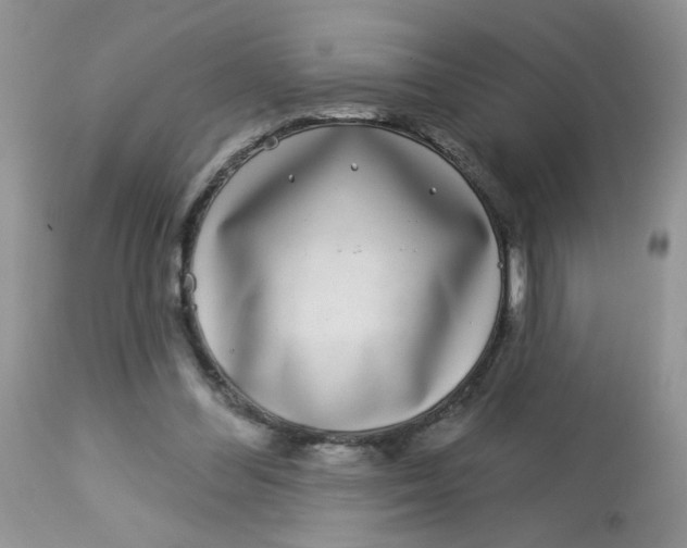 X0000113580300200910091508