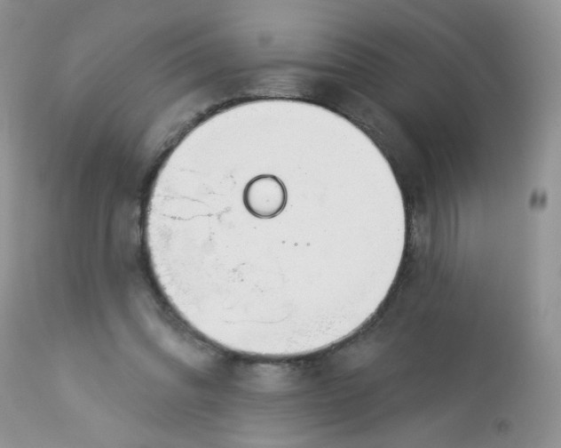 X0000113580302200910091508