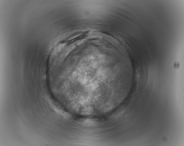 X0000113580303200910091508