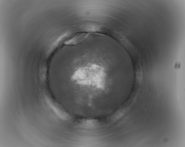 X0000113580304200910091508