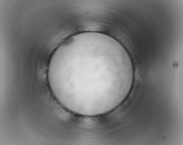 X0000113580305200910091508