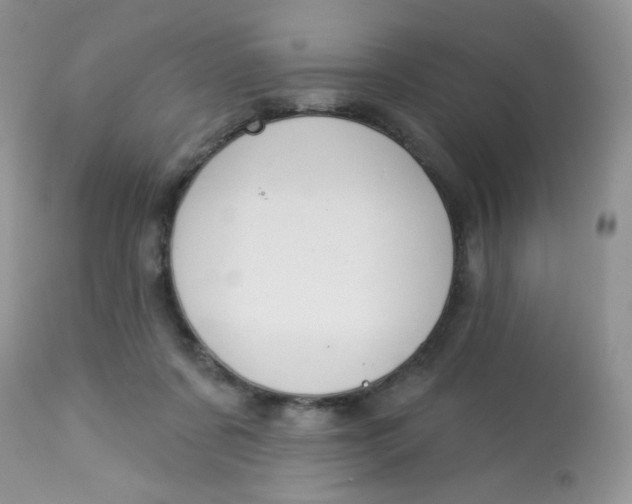 X0000113580311200910091508