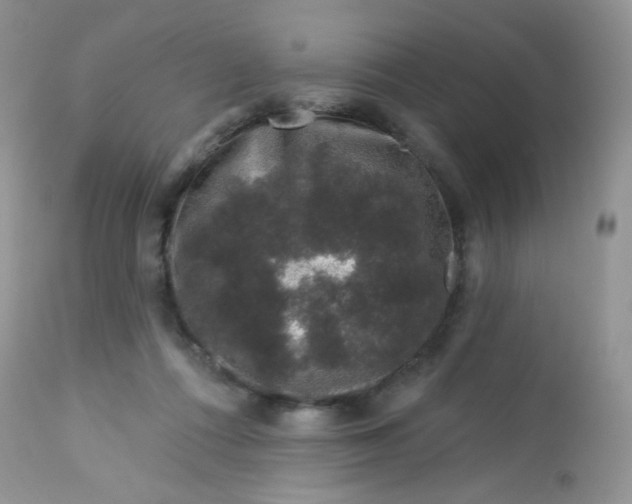 X0000113580312200910091508