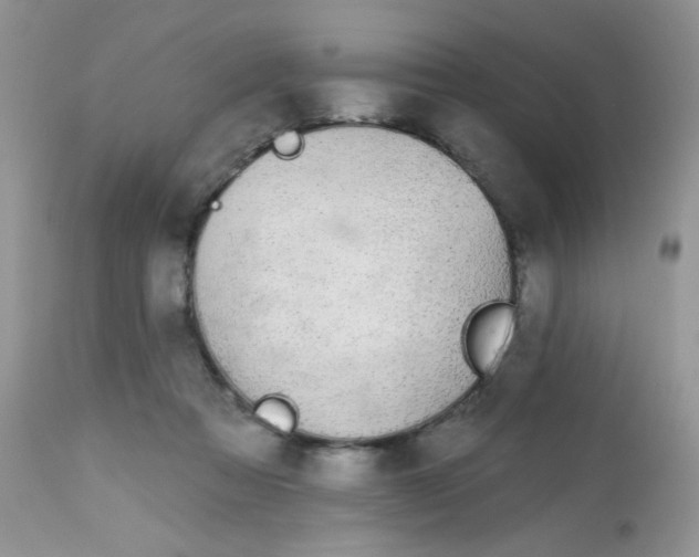 X0000113580313200910091508