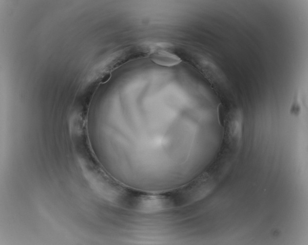 X0000113580316200910091508