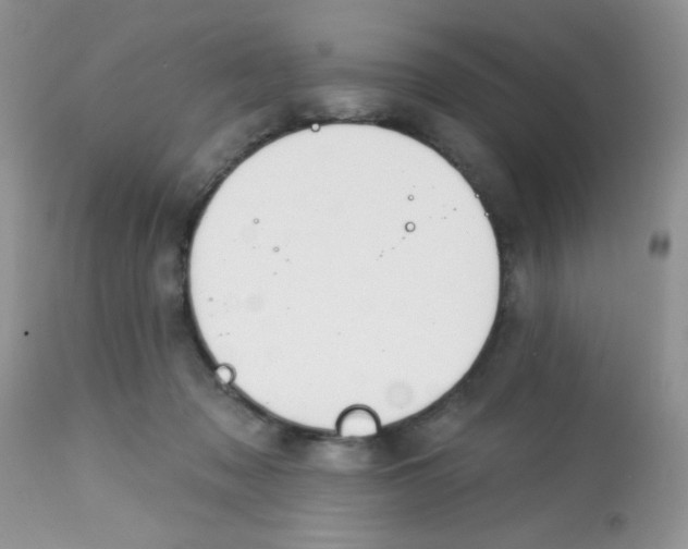 X0000113580317200910091508