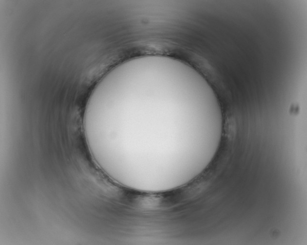 X0000113580318200910091508