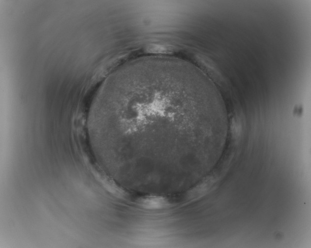 X0000113580322200910091508