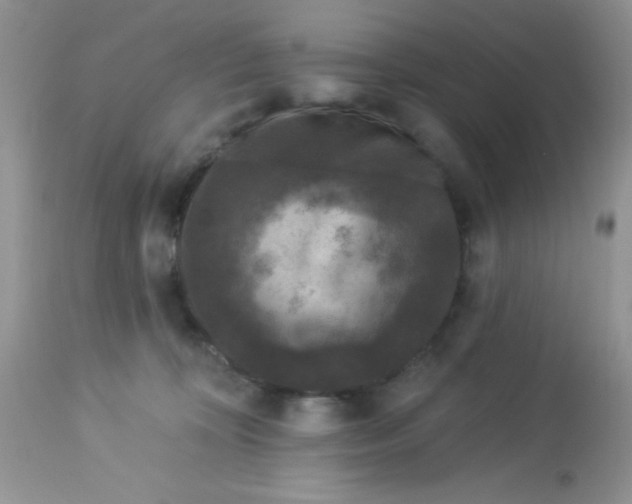 X0000113580324200910091508