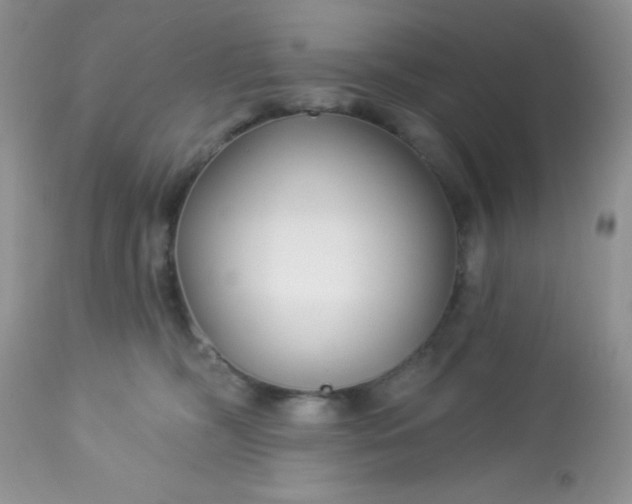 X0000113580326200910091508