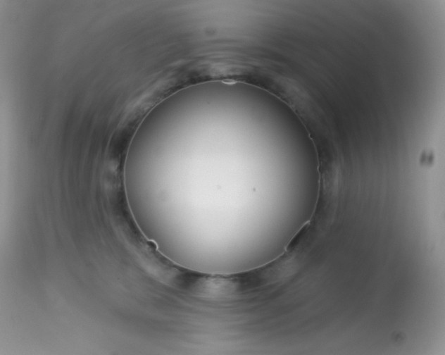 X0000113580327200910091508