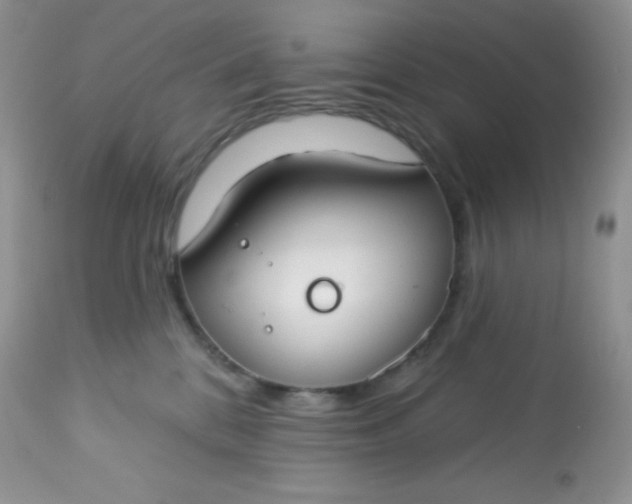 X0000113580328200910091508