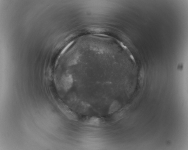 X0000113580330200910091508