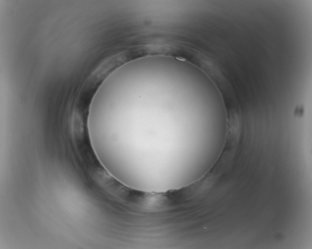 X0000113580333200910091508