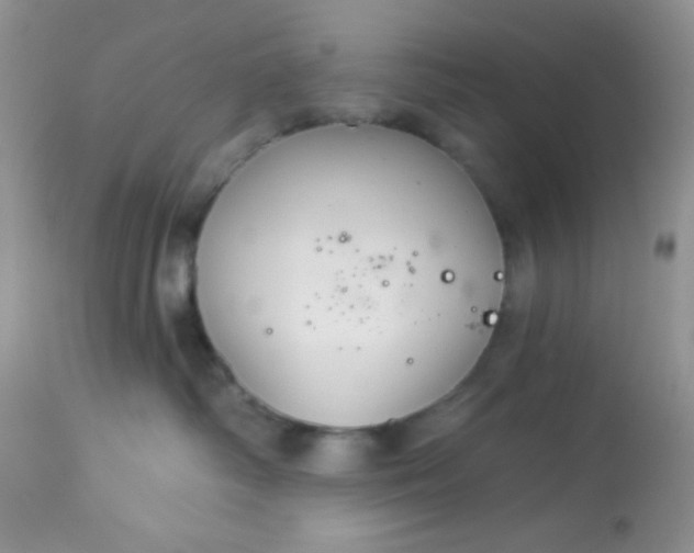 X0000113580334200910091508