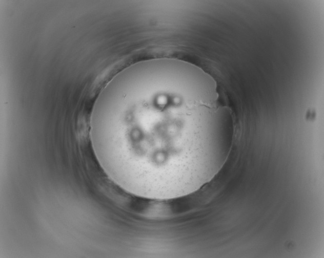 X0000113580335200910091508