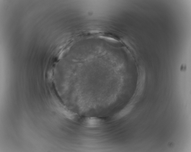 X0000113580336200910091508