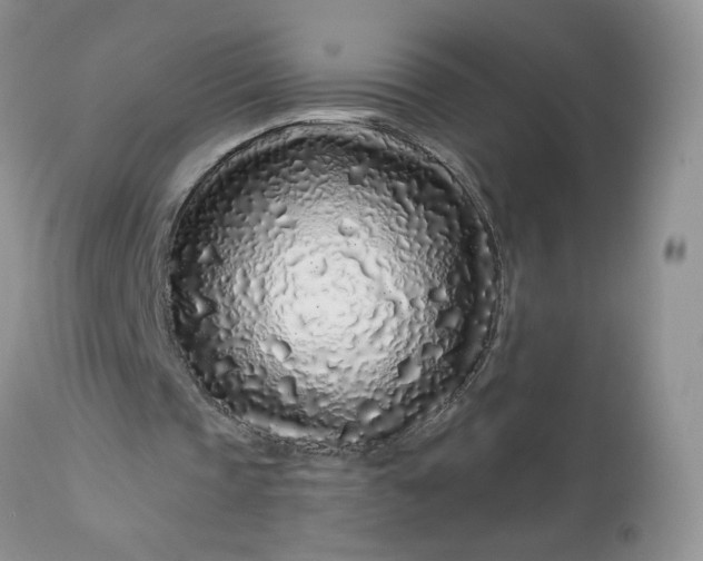 X0000113580337200910091507