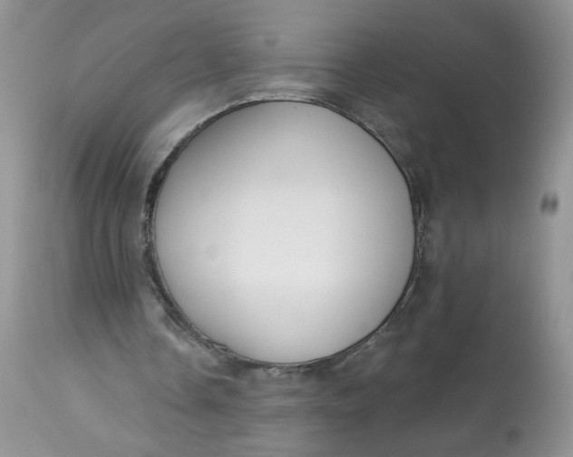 X0000113580338200910091507