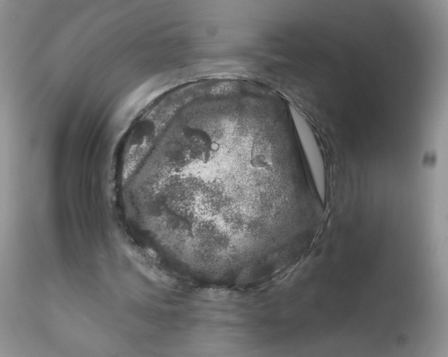 X0000113580339200910091507