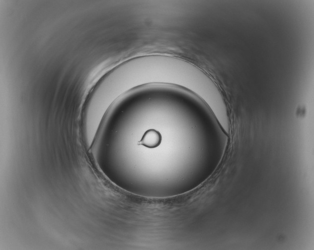 X0000113580340200910091507