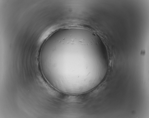 X0000113580341200910091507