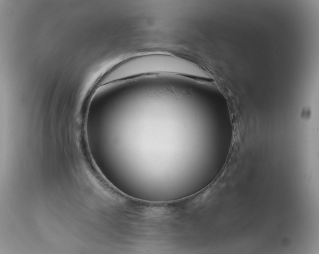 X0000113580342200910091507