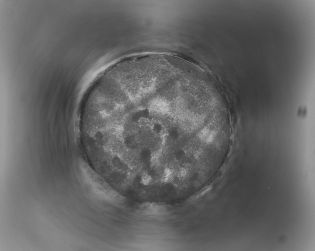 X0000113580343200910091507