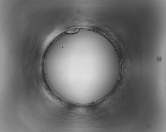 X0000113580344200910091507