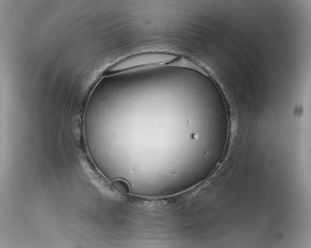 X0000113580345200910091507