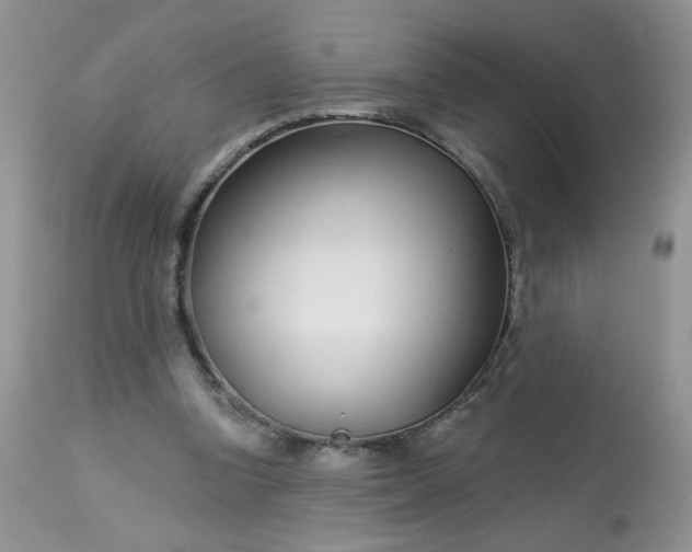 X0000113580346200910091507