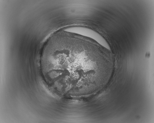 X0000113580347200910091507