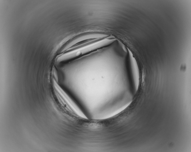 X0000113580348200910091507