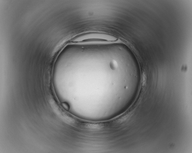 X0000113580349200910091507