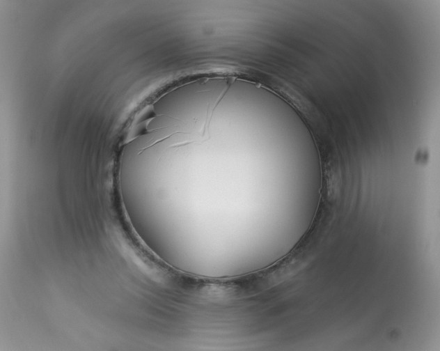 X0000113580350200910091507