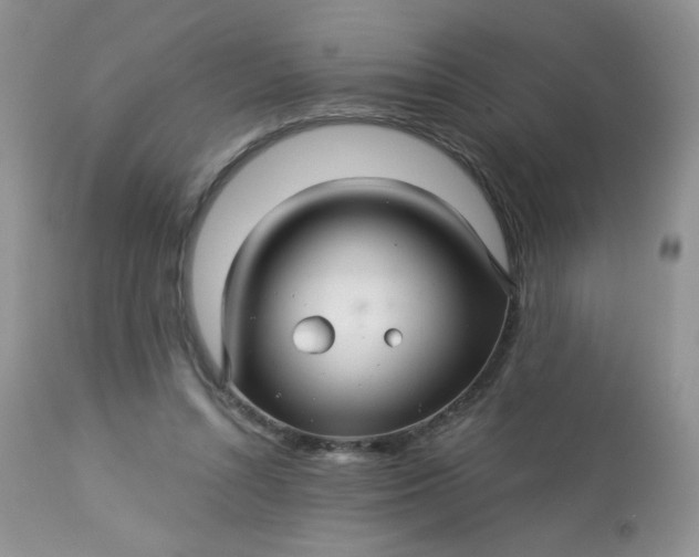 X0000113580352200910091507