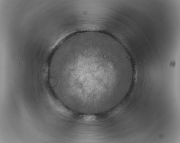 X0000113580355200910091507