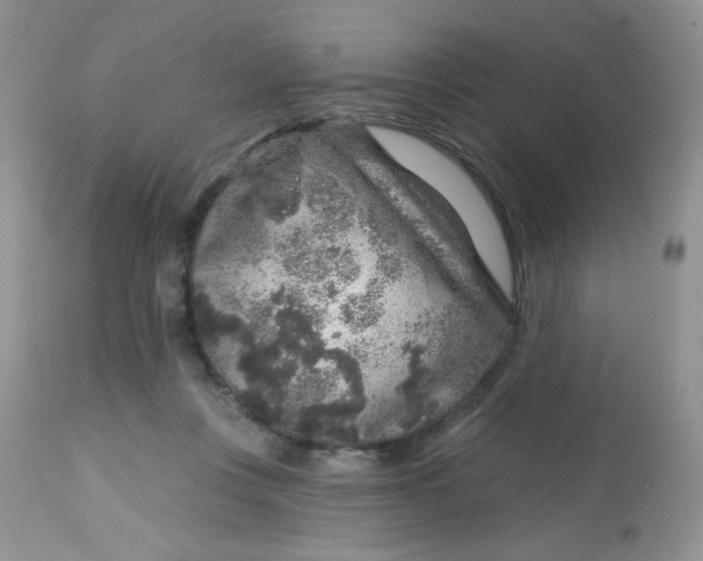 X0000113580359200910091507