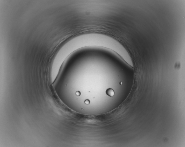 X0000113580360200910091507