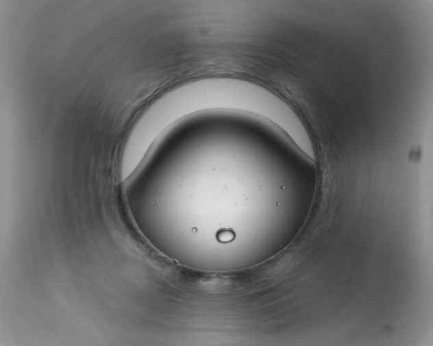 X0000113580362200910091507