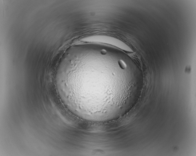 X0000113580363200910091507