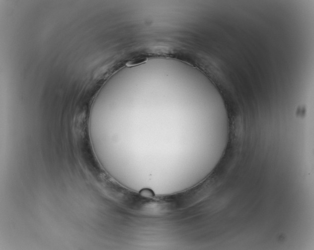 X0000113580364200910091507