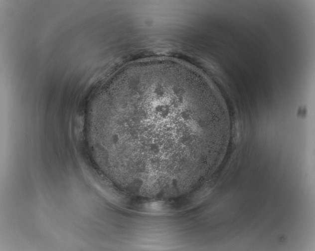 X0000113580365200910091507