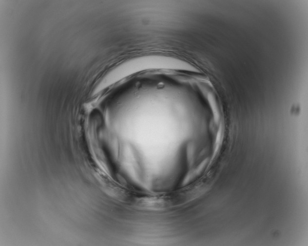 X0000113580366200910091507