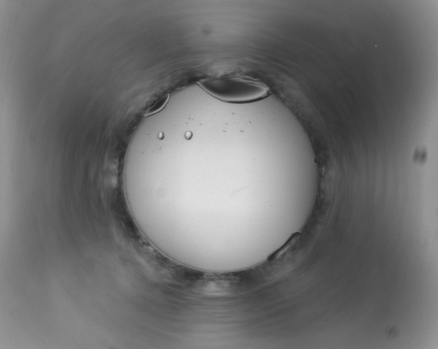 X0000113580368200910091507