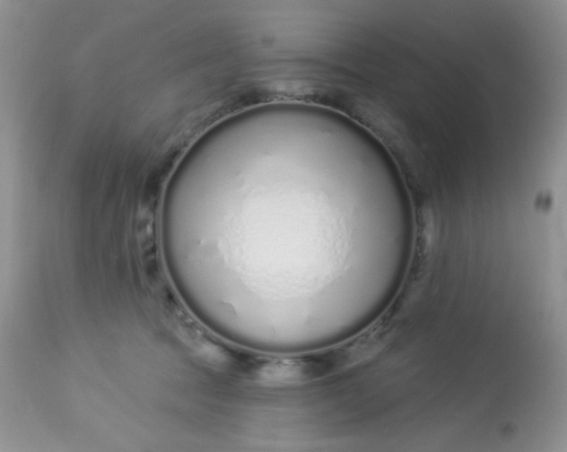 X0000113580369200910091507