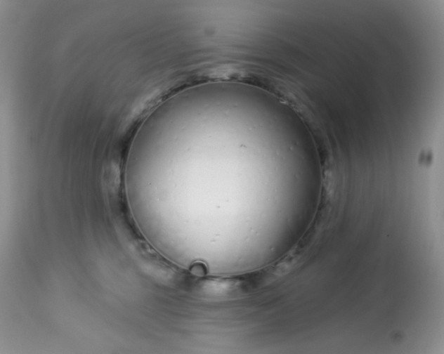 X0000113580375200910091508