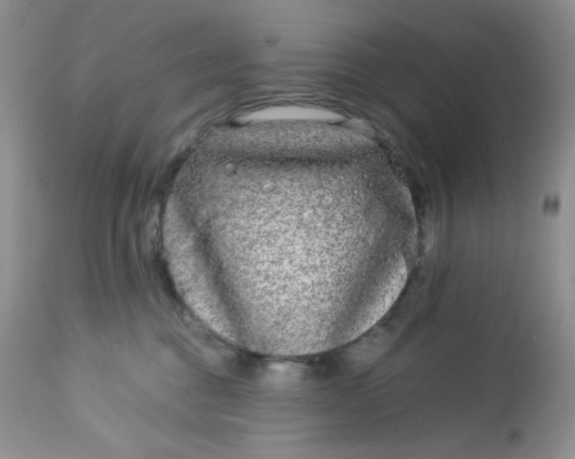 X0000113580376200910091508