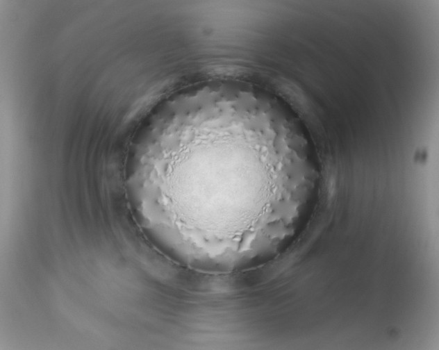 X0000113580377200910091508