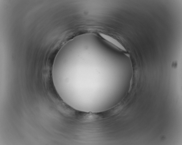 X0000113580379200910091508